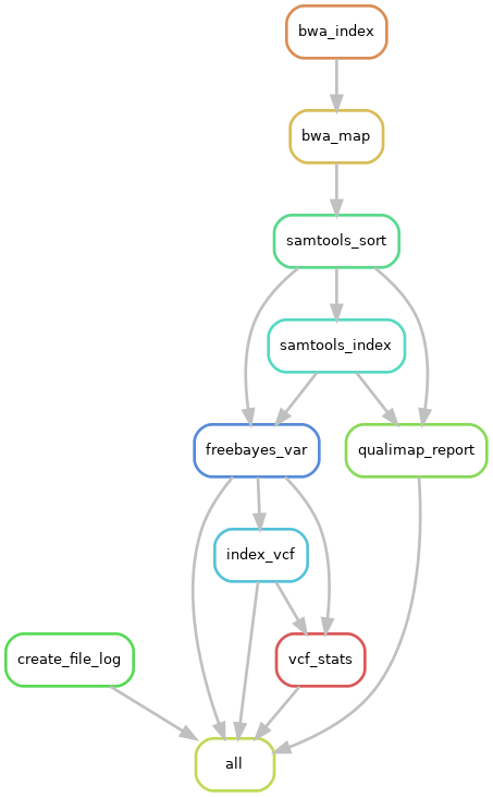 Mapping-variant-calling-workflow.png